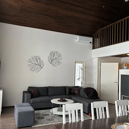 Villa Koivula Rääkkylä