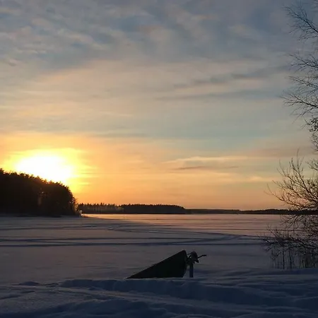 Koivula *